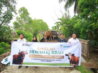 PT ANTAM Tbk UBP Nikel Kolaka Serahkan 12 Ekor Hewan Qurban kepada Masyarakat